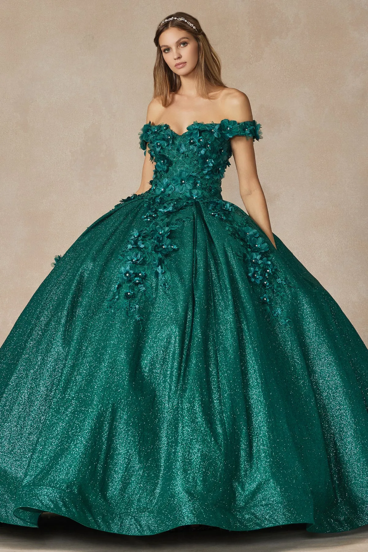 Floral Lace Illusion Sweetheart Ball Gown with 3D Floral Applique | Long Evening Prom Gown
