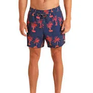Rock & Roll Men's Royal Palm Swim Volley Shorts BM68W05970